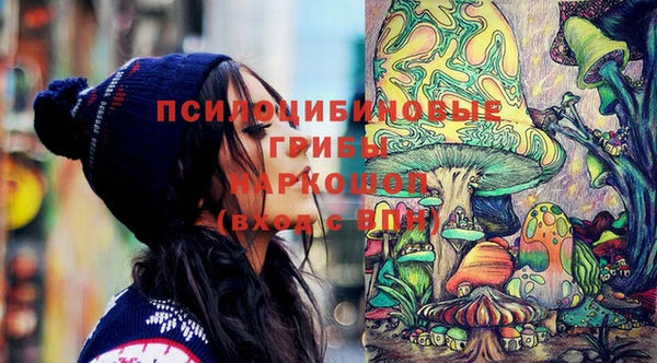 прущий лед Арсеньев