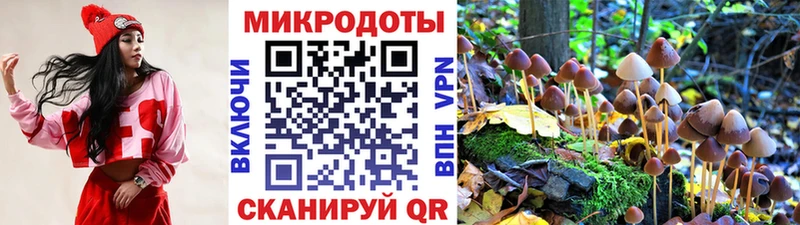 Галлюциногенные грибы прущие грибы  наркотики  Старица 