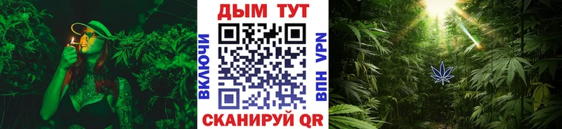 Канабис SATIVA & INDICA Старица